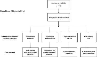 Higher Circulating miR-199a-5p Indicates Poor Aerobic Exercise Capacity and Associates With Cardiovascular Dysfunction During Chronic Exposure to High Altitude